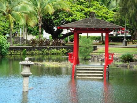 Hide Tide in Hilo